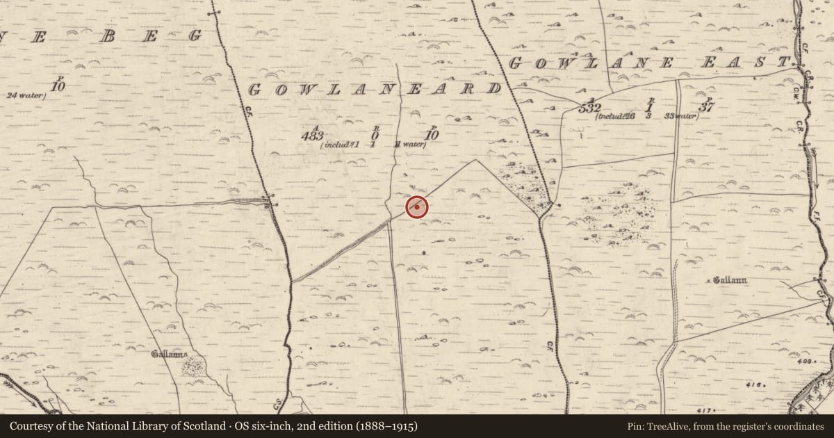 Ordnance Survey six-inch map, 2nd edition (1888–1915) covering the location of Rock art, An Gabhlán Ard, County Kerry, with a pin at the register's coordinates