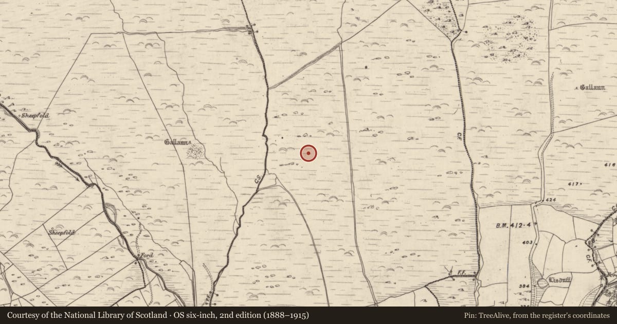 Ordnance Survey six-inch map, 2nd edition (1888–1915) covering the location of Cairn - unclassified, An Gabhlán Ard, County Kerry, with a pin at the register's coordinates