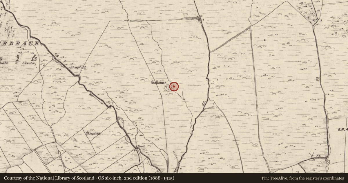 Ordnance Survey six-inch map, 2nd edition (1888–1915) covering the location of Enclosure, An Gabhlán Beag, County Kerry, with a pin at the register's coordinates