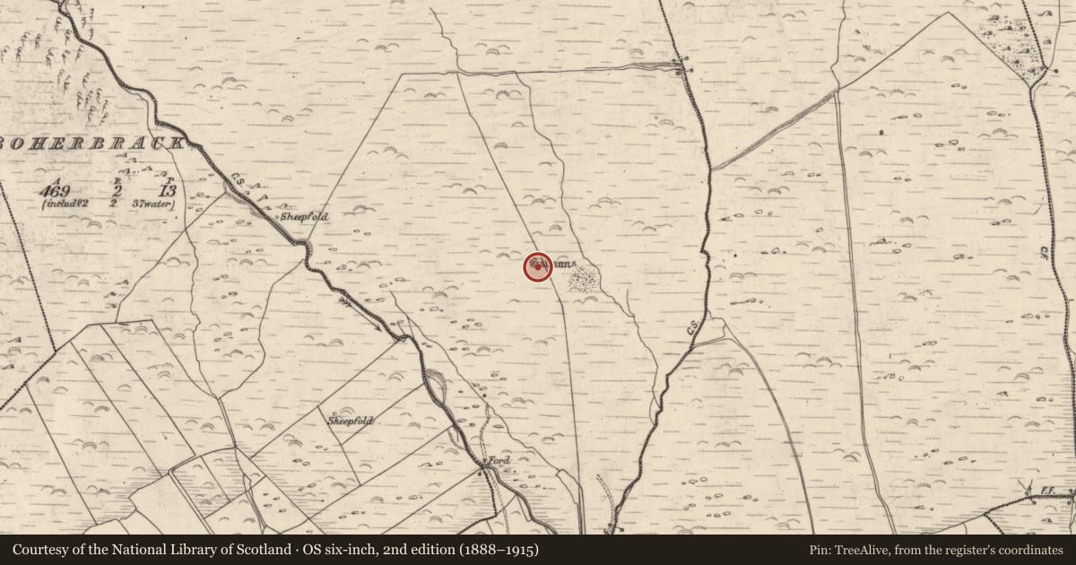 Ordnance Survey six-inch map, 2nd edition (1888–1915) covering the location of Hut site, An Gabhlán Beag, County Kerry, with a pin at the register's coordinates