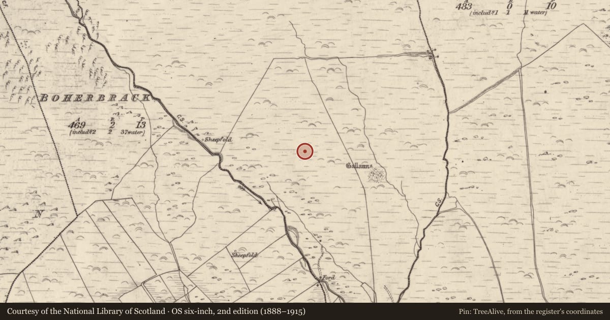 Ordnance Survey six-inch map, 2nd edition (1888–1915) covering the location of Enclosure, An Gabhlán Beag, County Kerry, with a pin at the register's coordinates