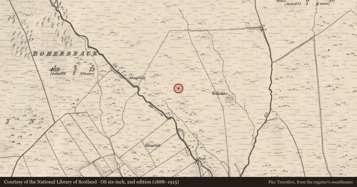 Ordnance Survey six-inch map, 2nd edition (1888–1915) covering the location of Hut site, An Gabhlán Beag, County Kerry, with a pin at the register's coordinates