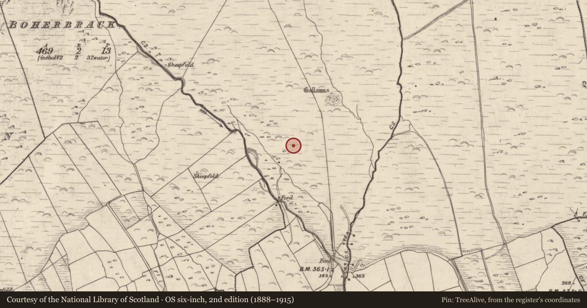Ordnance Survey six-inch map, 2nd edition (1888–1915) covering the location of Hut site, An Gabhlán Beag, County Kerry, with a pin at the register's coordinates