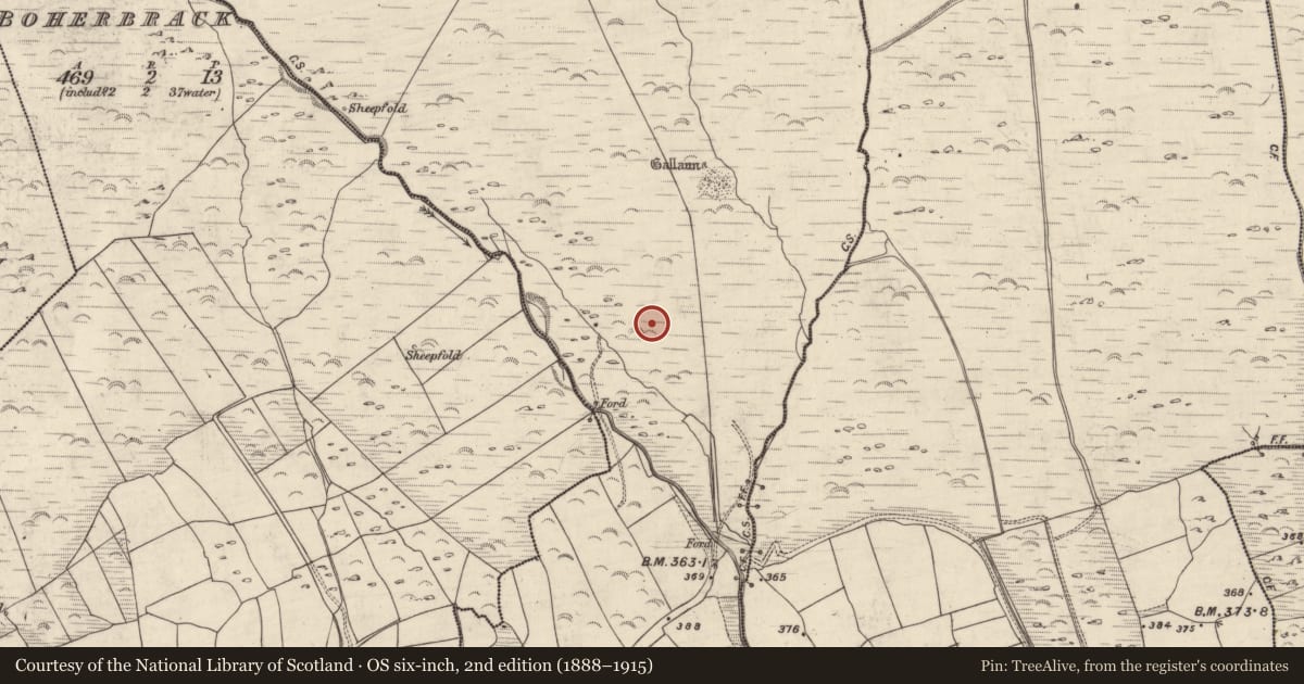 Ordnance Survey six-inch map, 2nd edition (1888–1915) covering the location of Hut site, An Gabhlán Beag, County Kerry, with a pin at the register's coordinates