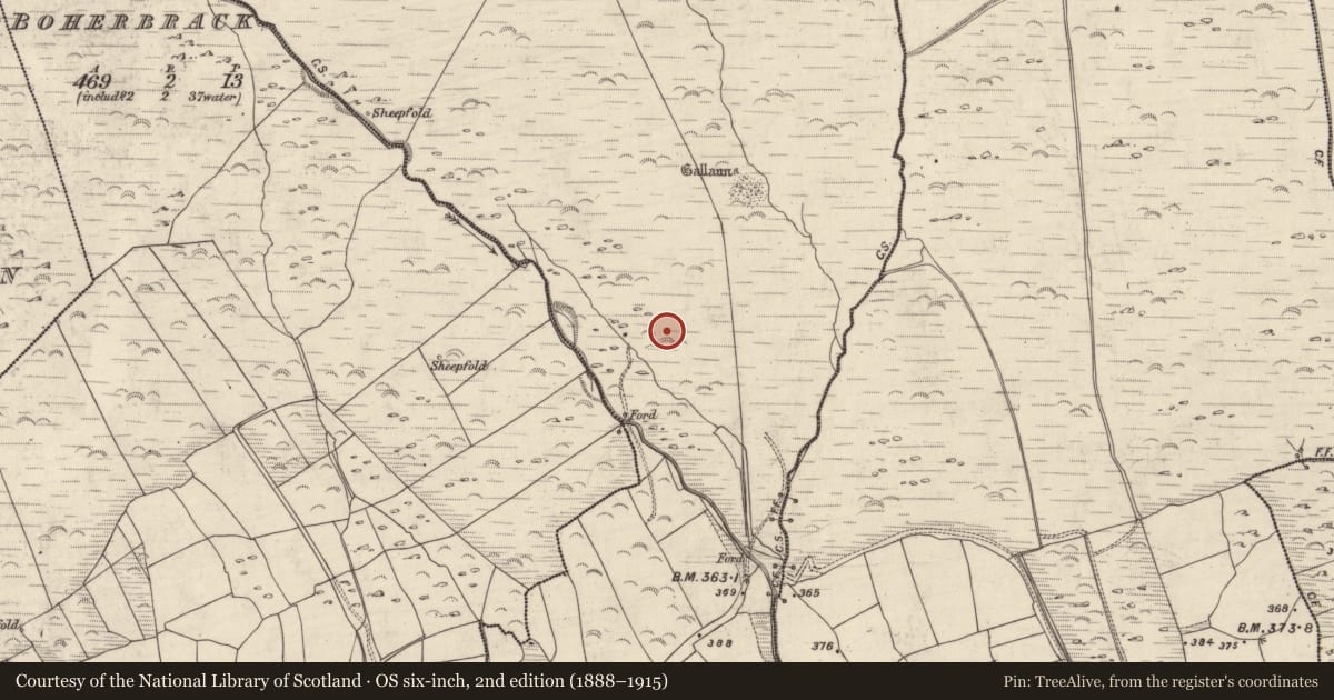 Ordnance Survey six-inch map, 2nd edition (1888–1915) covering the location of Hut site, An Gabhlán Beag, County Kerry, with a pin at the register's coordinates