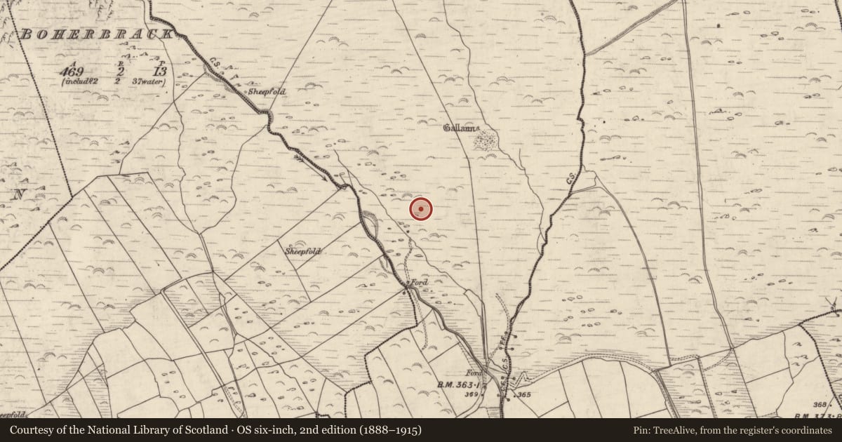 Ordnance Survey six-inch map, 2nd edition (1888–1915) covering the location of Hut site, An Gabhlán Beag, County Kerry, with a pin at the register's coordinates