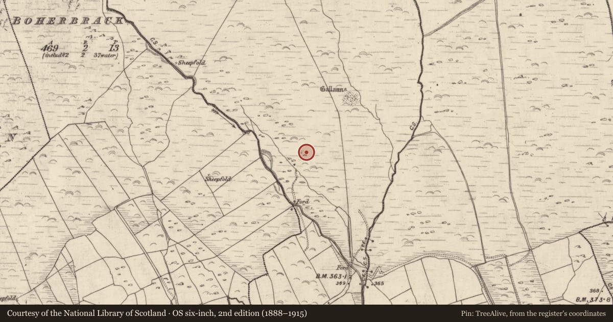 Ordnance Survey six-inch map, 2nd edition (1888–1915) covering the location of Hut site, An Gabhlán Beag, County Kerry, with a pin at the register's coordinates