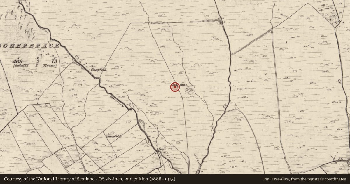 Ordnance Survey six-inch map, 2nd edition (1888–1915) covering the location of Fulacht fia, An Gabhlán Beag, County Kerry, with a pin at the register's coordinates