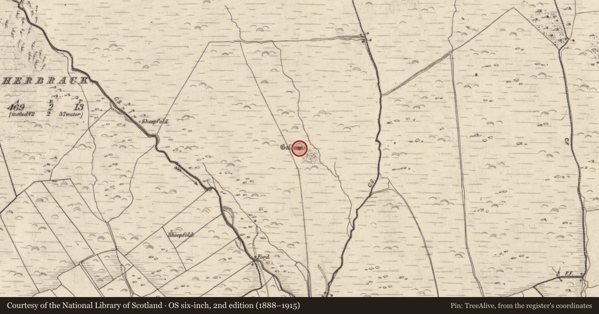 Ordnance Survey six-inch map, 2nd edition (1888–1915) covering the location of Fulacht fia, An Gabhlán Beag, County Kerry, with a pin at the register's coordinates