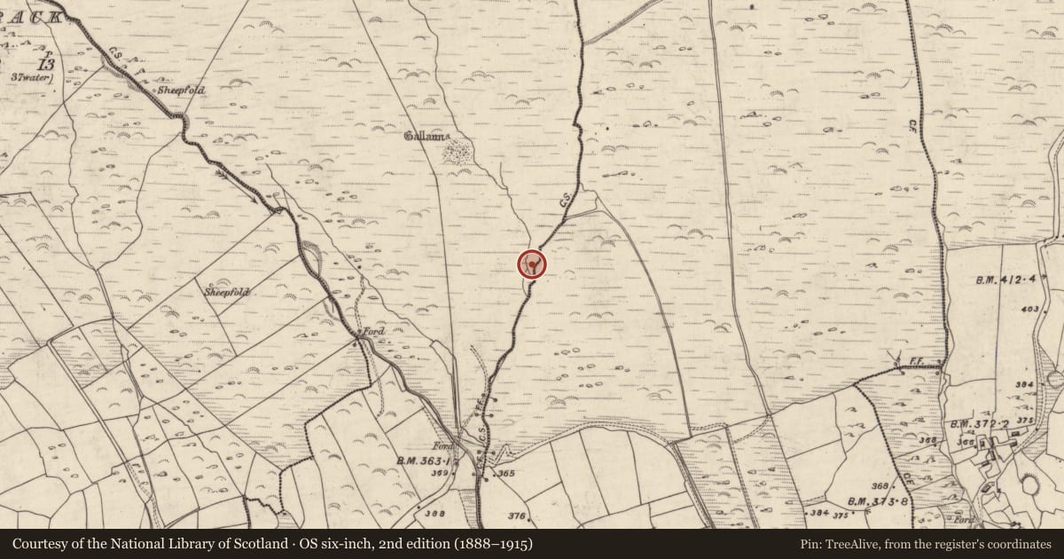 Ordnance Survey six-inch map, 2nd edition (1888–1915) covering the location of Fulacht fia, An Gabhlán Ard, An Gabhlán Beag, County Kerry, with a pin at the register's coordinates