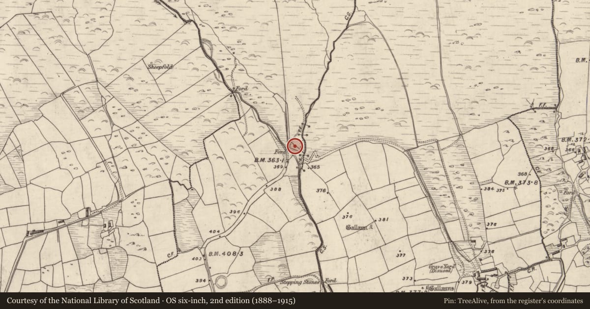 Ordnance Survey six-inch map, 2nd edition (1888–1915) covering the location of Fulacht fia, An Gabhlán Beag, County Kerry, with a pin at the register's coordinates