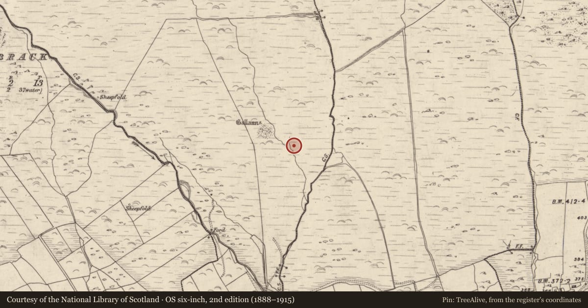 Ordnance Survey six-inch map, 2nd edition (1888–1915) covering the location of Fulacht fia, An Gabhlán Beag, County Kerry, with a pin at the register's coordinates