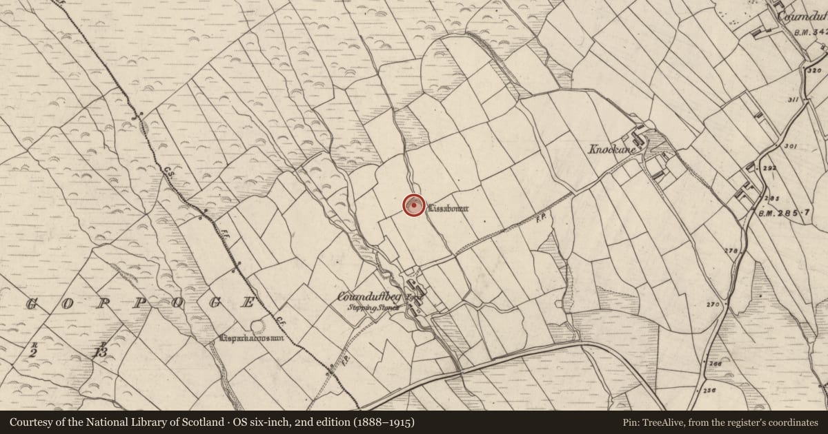 Ordnance Survey six-inch map, 2nd edition (1888–1915) covering the location of Ringfort - rath, Coumduff, County Kerry, with a pin at the register's coordinates