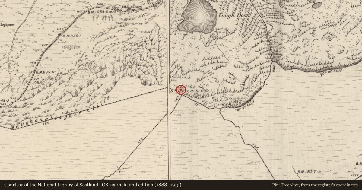 Ordnance Survey six-inch map, 2nd edition (1888–1915) covering the location of Hut site, Cloichearaí, County Kerry, with a pin at the register's coordinates