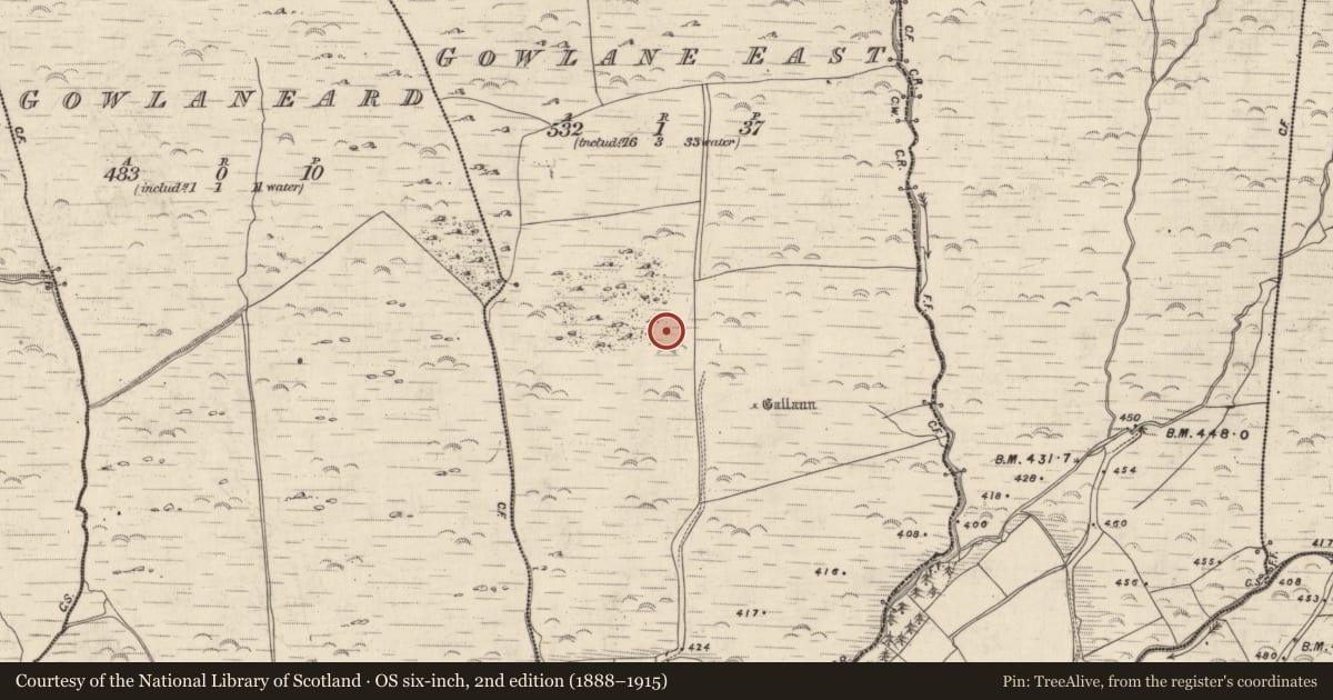 Ordnance Survey six-inch map, 2nd edition (1888–1915) covering the location of Hut site, An Gabhlán Thoir, County Kerry, with a pin at the register's coordinates