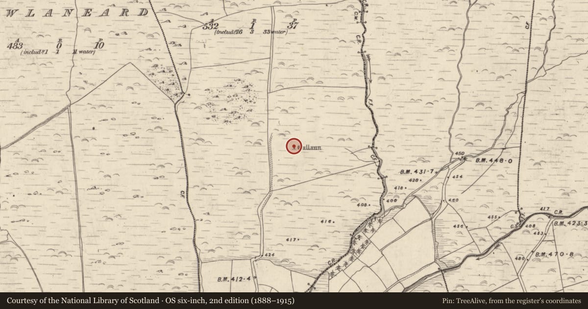 Ordnance Survey six-inch map, 2nd edition (1888–1915) covering the location of Standing stone, An Gabhlán Thoir, County Kerry, with a pin at the register's coordinates
