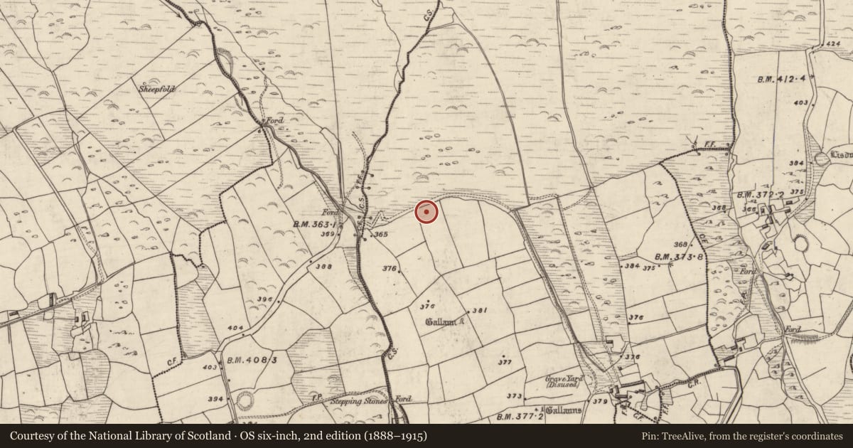 Ordnance Survey six-inch map, 2nd edition (1888–1915) covering the location of Hut site, An Gabhlán Ard, County Kerry, with a pin at the register's coordinates