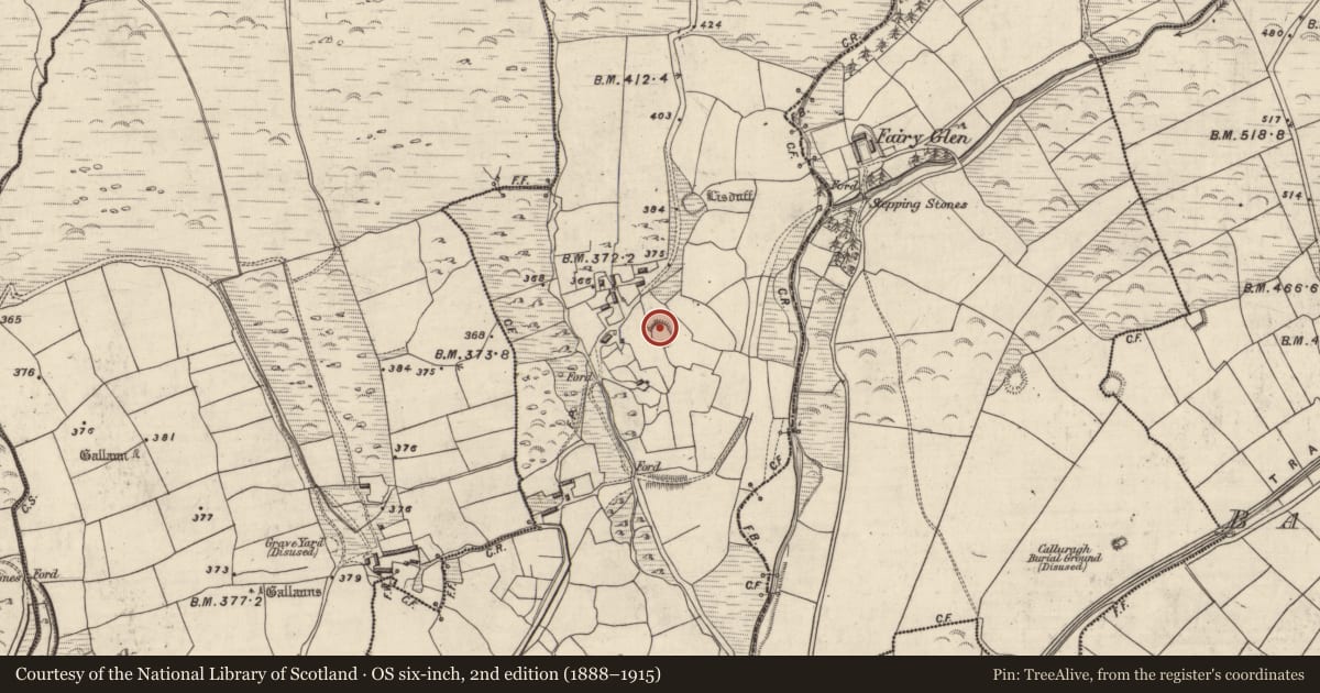 Ordnance Survey six-inch map, 2nd edition (1888–1915) covering the location of Ringfort - rath, An Gabhlán Thoir, County Kerry, with a pin at the register's coordinates