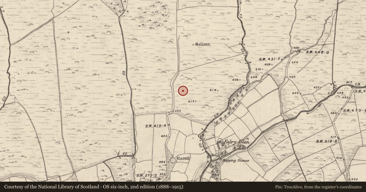 Ordnance Survey six-inch map, 2nd edition (1888–1915) covering the location of Souterrain, An Gabhlán Thoir, County Kerry, with a pin at the register's coordinates