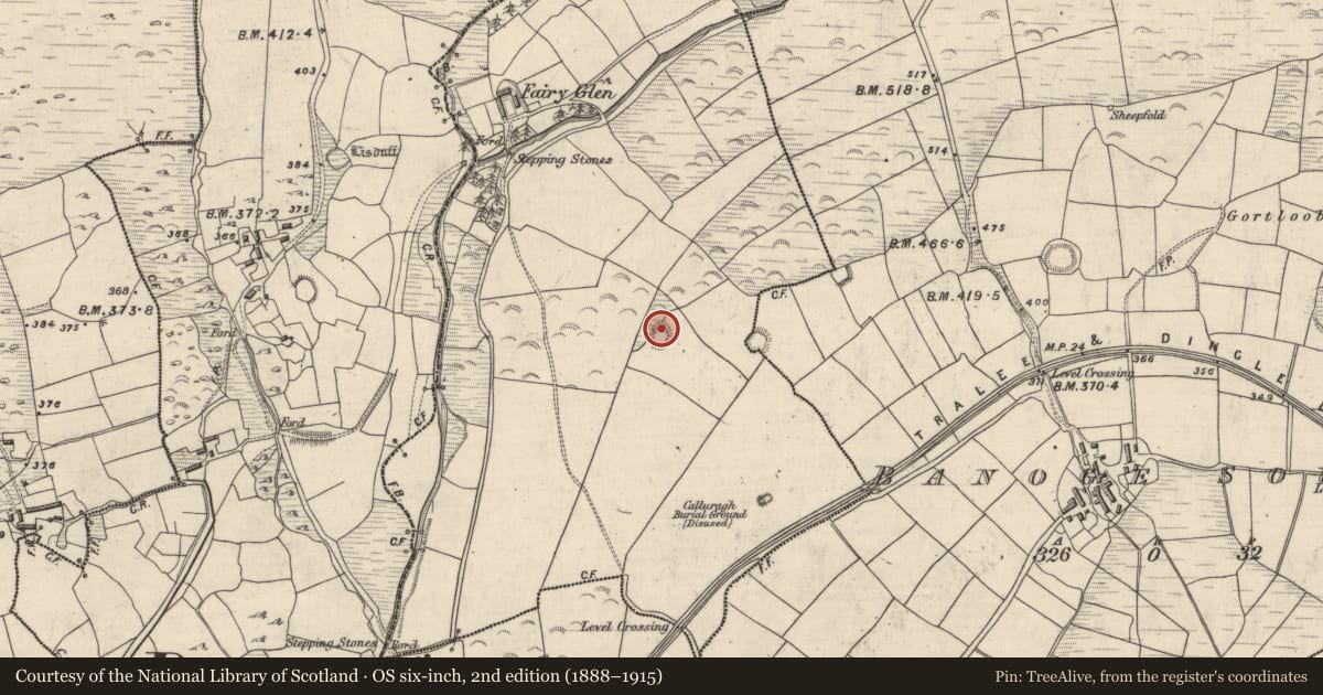 Ordnance Survey six-inch map, 2nd edition (1888–1915) covering the location of Ringfort - rath, Oileán An Phocáin, County Kerry, with a pin at the register's coordinates