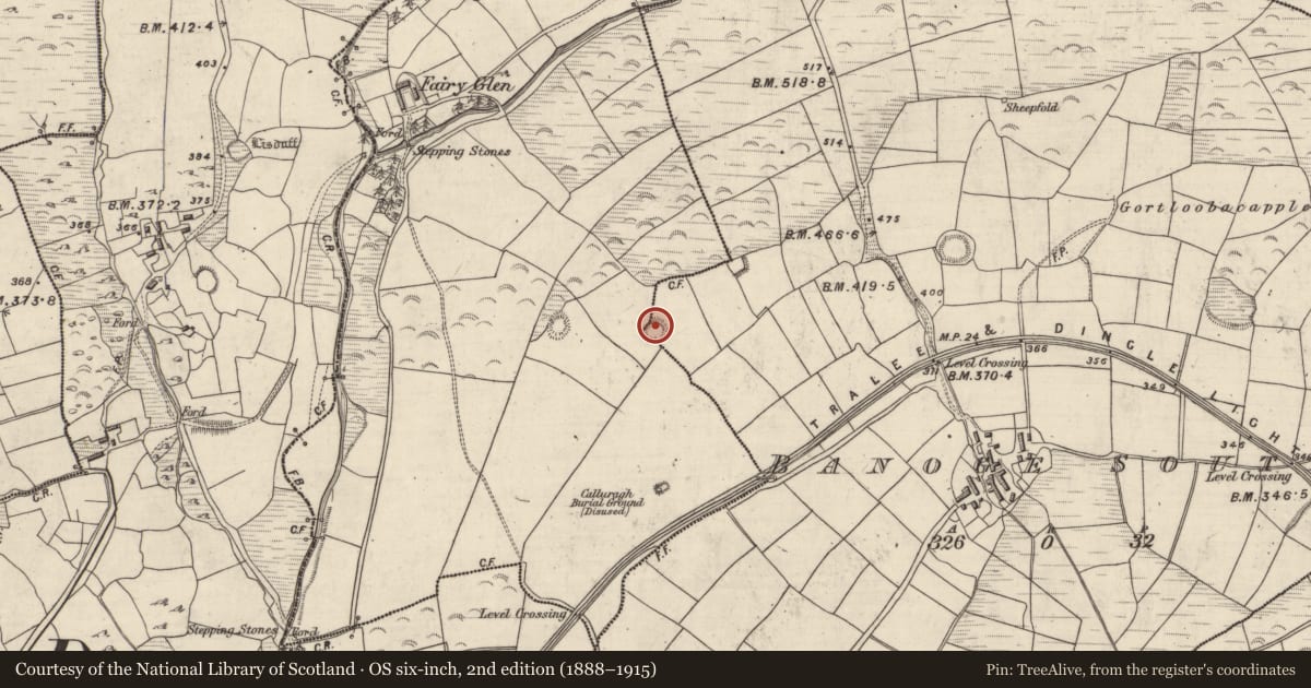 Ordnance Survey six-inch map, 2nd edition (1888–1915) covering the location of Hut site, An Bhánóg Theas, Oileán An Phocáin, County Kerry, with a pin at the register's coordinates