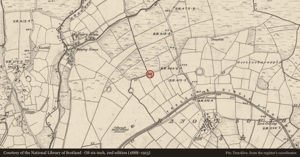 Ordnance Survey six-inch map, 2nd edition (1888–1915) covering the location of Ringfort - rath, An Bhánóg Theas, County Kerry, with a pin at the register's coordinates