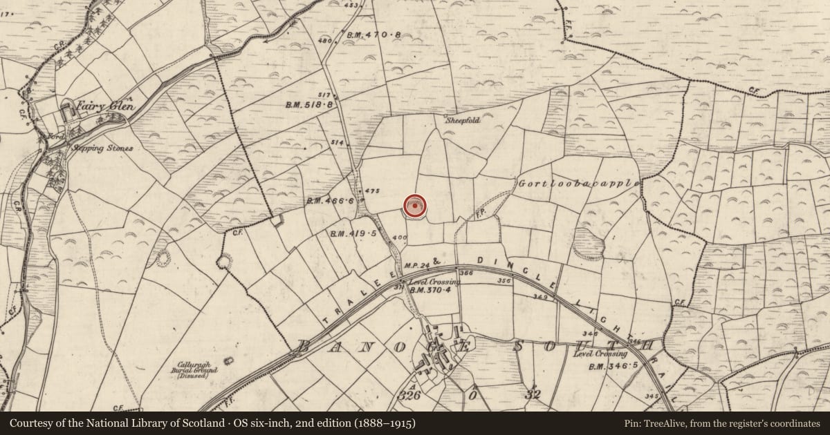 Ordnance Survey six-inch map, 2nd edition (1888–1915) covering the location of Ringfort - rath, An Bhánóg Theas, County Kerry, with a pin at the register's coordinates