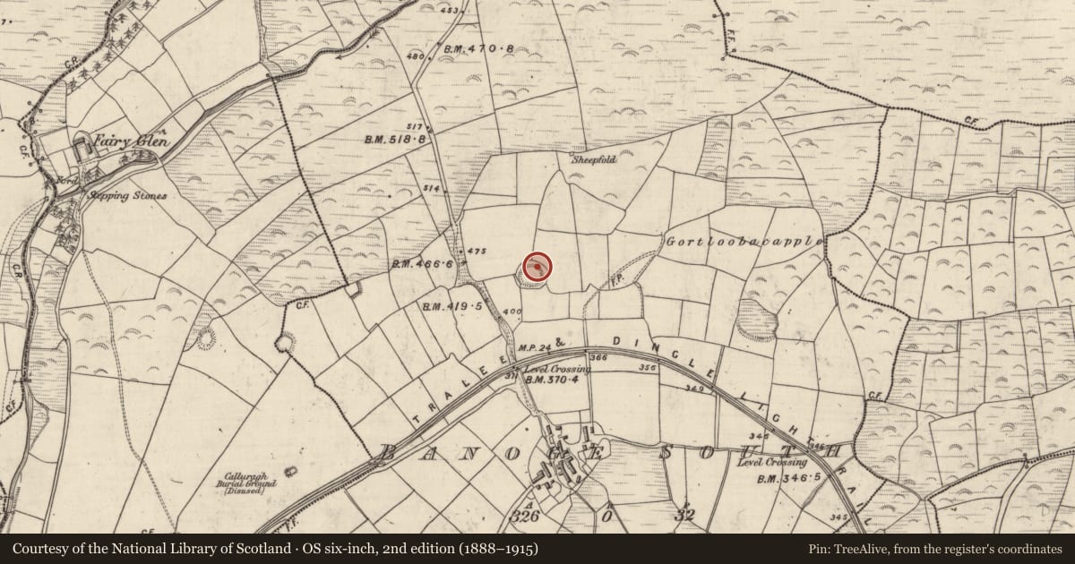 Ordnance Survey six-inch map, 2nd edition (1888–1915) covering the location of Hut site, An Bhánóg Theas, County Kerry, with a pin at the register's coordinates