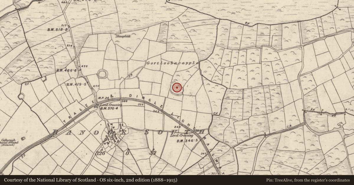 Ordnance Survey six-inch map, 2nd edition (1888–1915) covering the location of Ringfort - rath, An Bhánóg Theas, County Kerry, with a pin at the register's coordinates