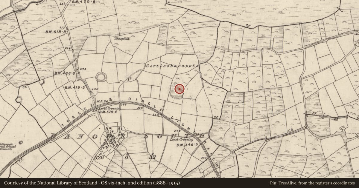 Ordnance Survey six-inch map, 2nd edition (1888–1915) covering the location of Children's burial ground, An Bhánóg Theas, County Kerry, with a pin at the register's coordinates