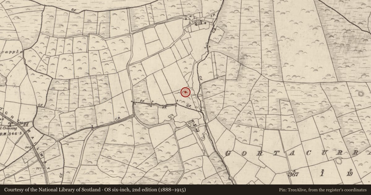 Ordnance Survey six-inch map, 2nd edition (1888–1915) covering the location of Ringfort - rath, Mám An Gharráin, County Kerry, with a pin at the register's coordinates