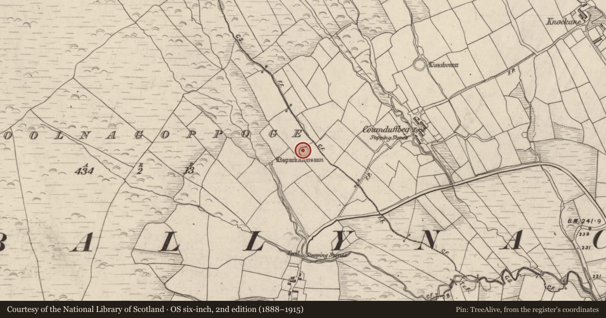 Ordnance Survey six-inch map, 2nd edition (1888–1915) covering the location of Enclosure, Cúil Na Gcopóg (Bar. Corca Dhuibhne), County Kerry, with a pin at the register's coordinates