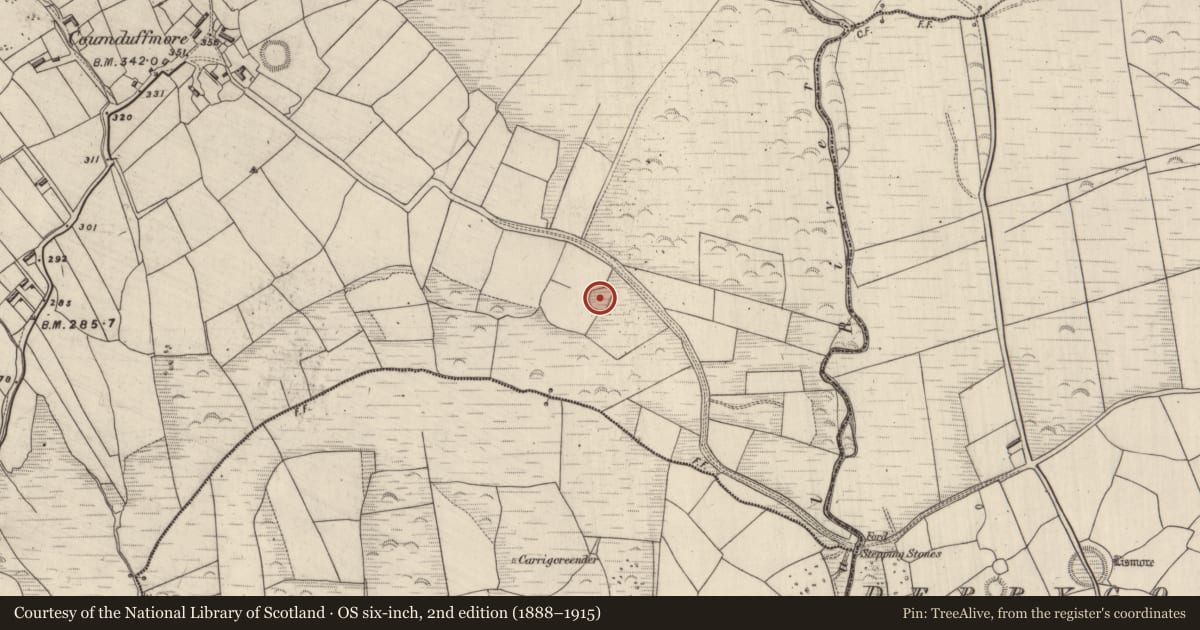 Ordnance Survey six-inch map, 2nd edition (1888–1915) covering the location of Ringfort - rath, Coumduff, County Kerry, with a pin at the register's coordinates