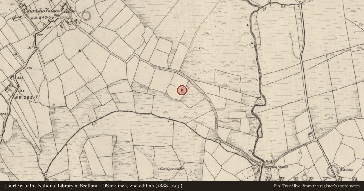 Ordnance Survey six-inch map, 2nd edition (1888–1915) covering the location of Hut site, Coumduff, County Kerry, with a pin at the register's coordinates