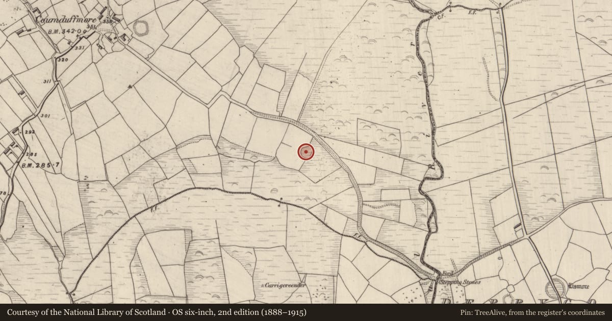 Ordnance Survey six-inch map, 2nd edition (1888–1915) covering the location of Souterrain, Coumduff, County Kerry, with a pin at the register's coordinates