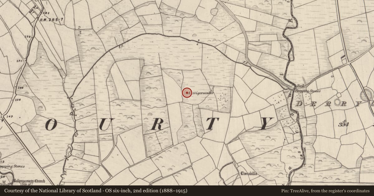 Ordnance Survey six-inch map, 2nd edition (1888–1915) covering the location of Anomalous stone group, Annagap, County Kerry, with a pin at the register's coordinates
