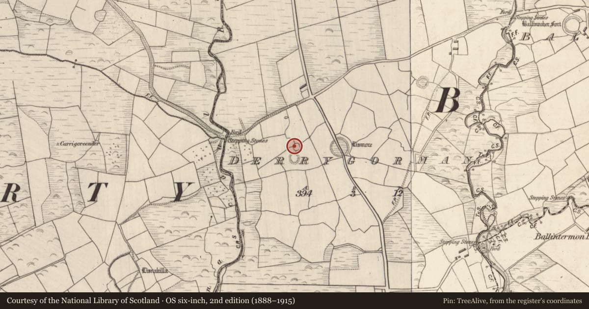 Ordnance Survey six-inch map, 2nd edition (1888–1915) covering the location of House - indeterminate date, Derrygorman, County Kerry, with a pin at the register's coordinates
