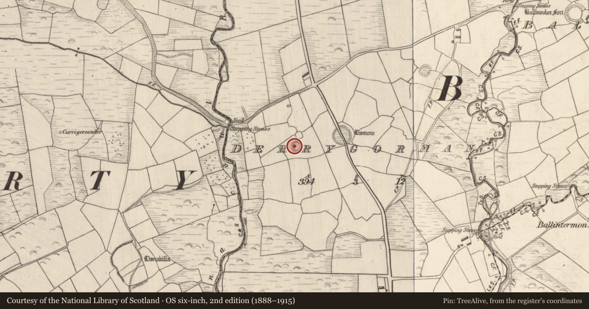 Ordnance Survey six-inch map, 2nd edition (1888–1915) covering the location of Ringfort - rath, Derrygorman, County Kerry, with a pin at the register's coordinates