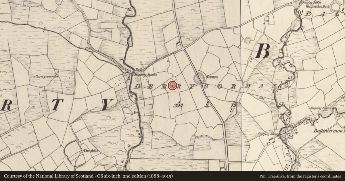 Ordnance Survey six-inch map, 2nd edition (1888–1915) covering the location of Hut site, Derrygorman, County Kerry, with a pin at the register's coordinates