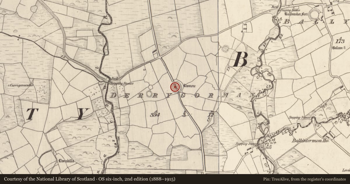 Ordnance Survey six-inch map, 2nd edition (1888–1915) covering the location of Ringfort - rath, Derrygorman, County Kerry, with a pin at the register's coordinates