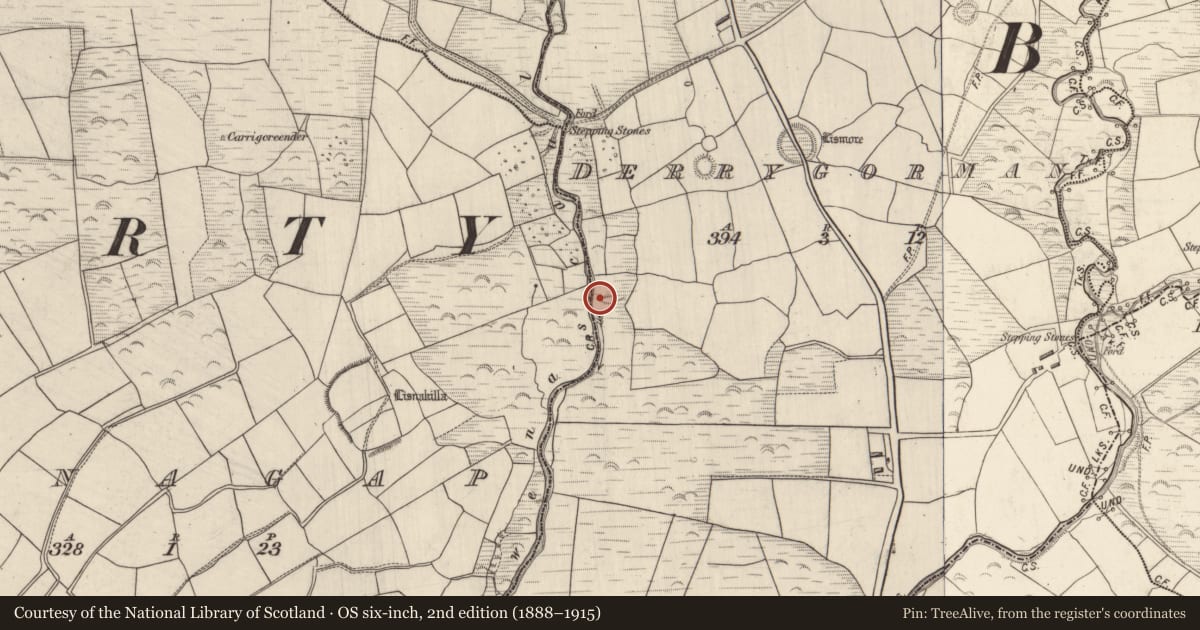 Ordnance Survey six-inch map, 2nd edition (1888–1915) covering the location of Earthwork, Derrygorman, County Kerry, with a pin at the register's coordinates