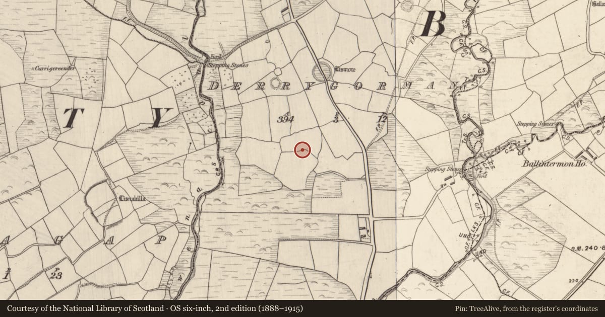 Ordnance Survey six-inch map, 2nd edition (1888–1915) covering the location of Souterrain, Derrygorman, County Kerry, with a pin at the register's coordinates