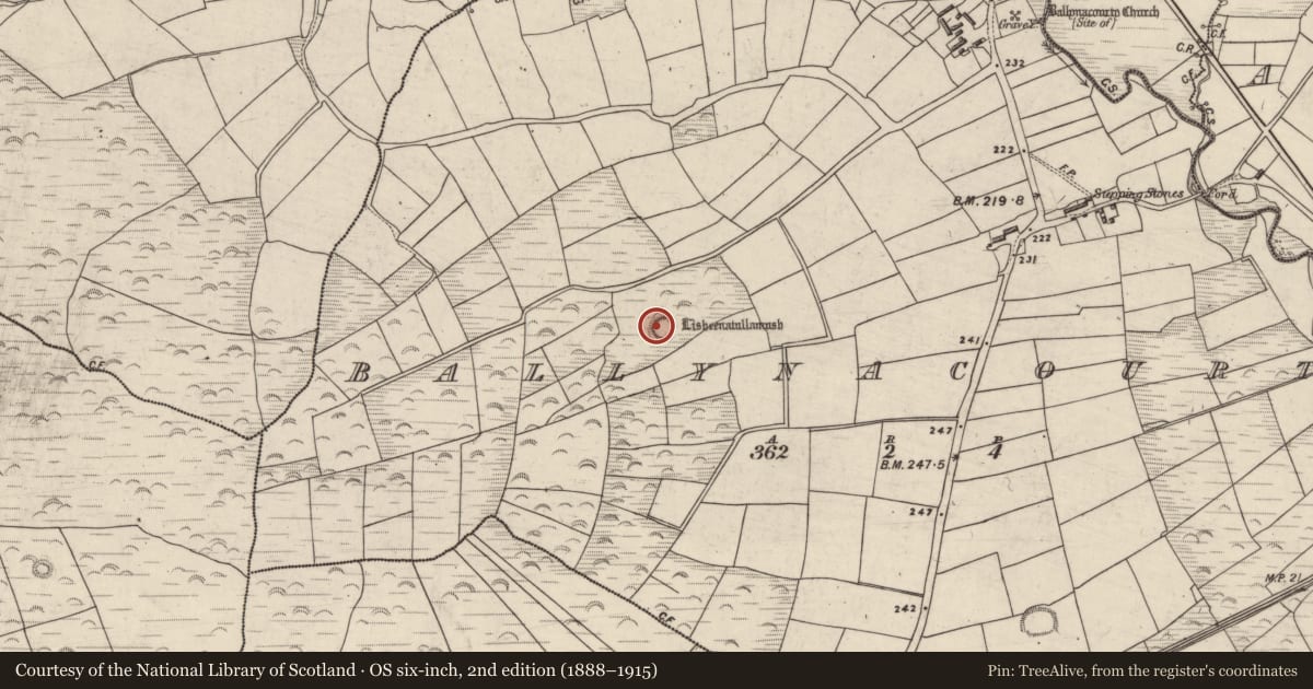 Ordnance Survey six-inch map, 2nd edition (1888–1915) covering the location of Hut site, Ballynacourty, County Kerry, with a pin at the register's coordinates