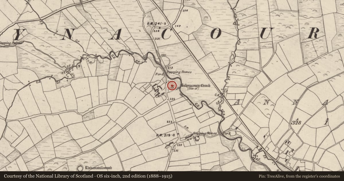 Ordnance Survey six-inch map, 2nd edition (1888–1915) covering the location of Graveyard, Ballynacourty, County Kerry, with a pin at the register's coordinates