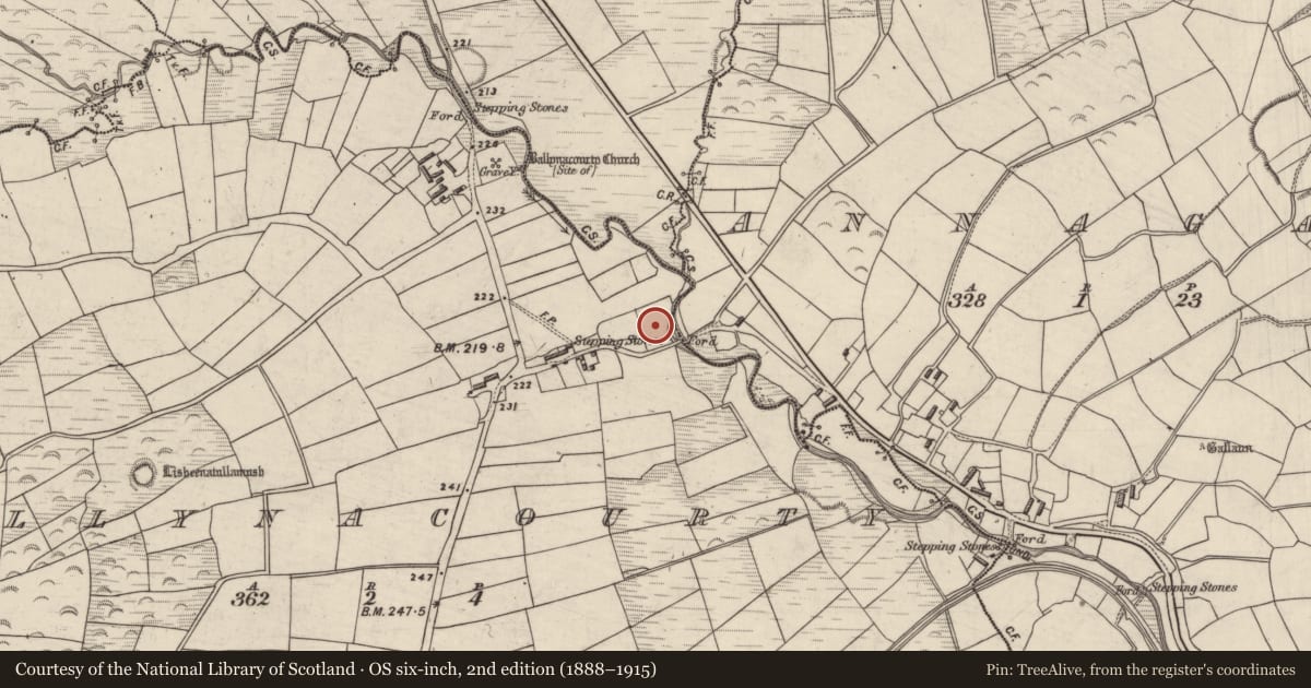 Ordnance Survey six-inch map, 2nd edition (1888–1915) covering the location of Burnt spread, Ballynacourty, County Kerry, with a pin at the register's coordinates