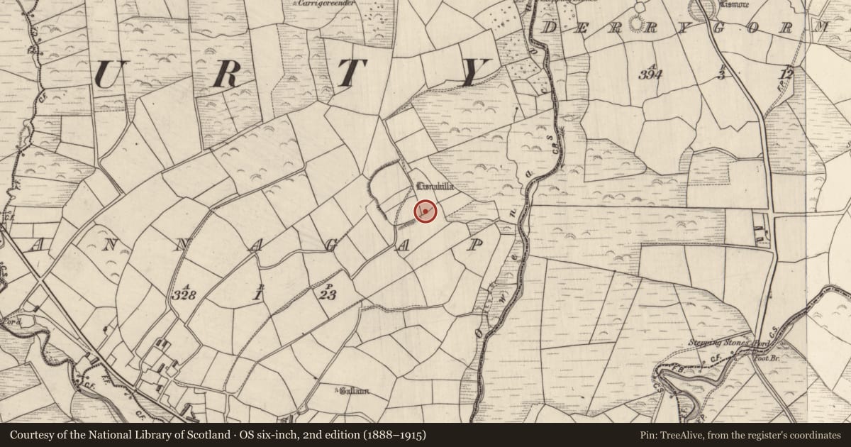 Ordnance Survey six-inch map, 2nd edition (1888–1915) covering the location of Bullaun stone, Annagap, County Kerry, with a pin at the register's coordinates