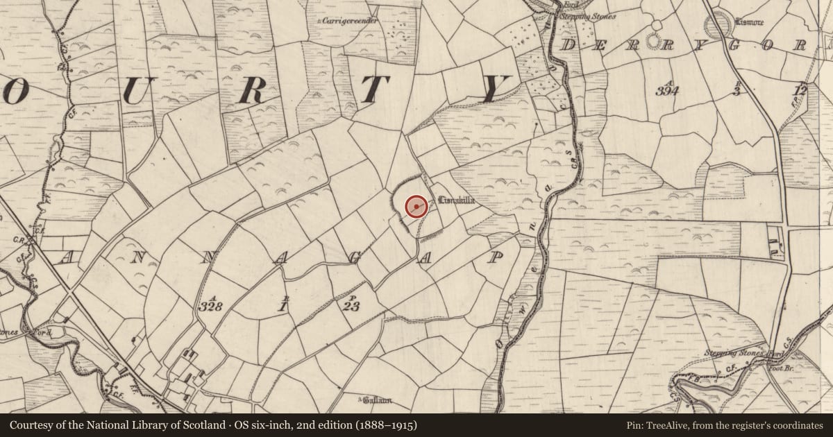 Ordnance Survey six-inch map, 2nd edition (1888–1915) covering the location of Church, Annagap, County Kerry, with a pin at the register's coordinates