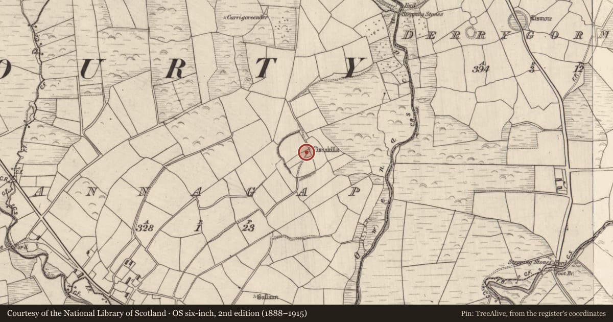 Ordnance Survey six-inch map, 2nd edition (1888–1915) covering the location of Bullaun stone, Annagap, County Kerry, with a pin at the register's coordinates