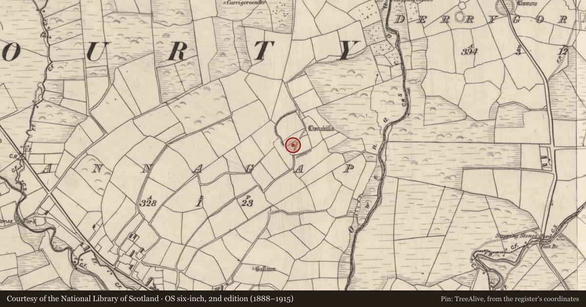 Ordnance Survey six-inch map, 2nd edition (1888–1915) covering the location of Souterrain, Annagap, County Kerry, with a pin at the register's coordinates