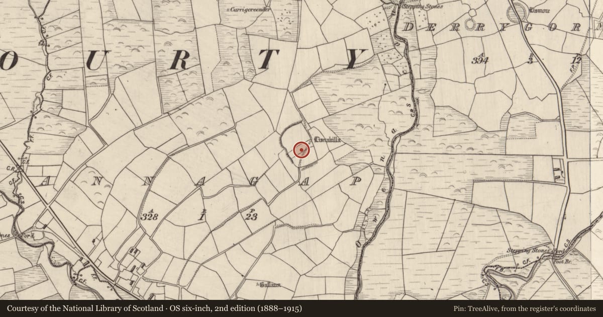 Ordnance Survey six-inch map, 2nd edition (1888–1915) covering the location of Enclosure, Annagap, County Kerry, with a pin at the register's coordinates